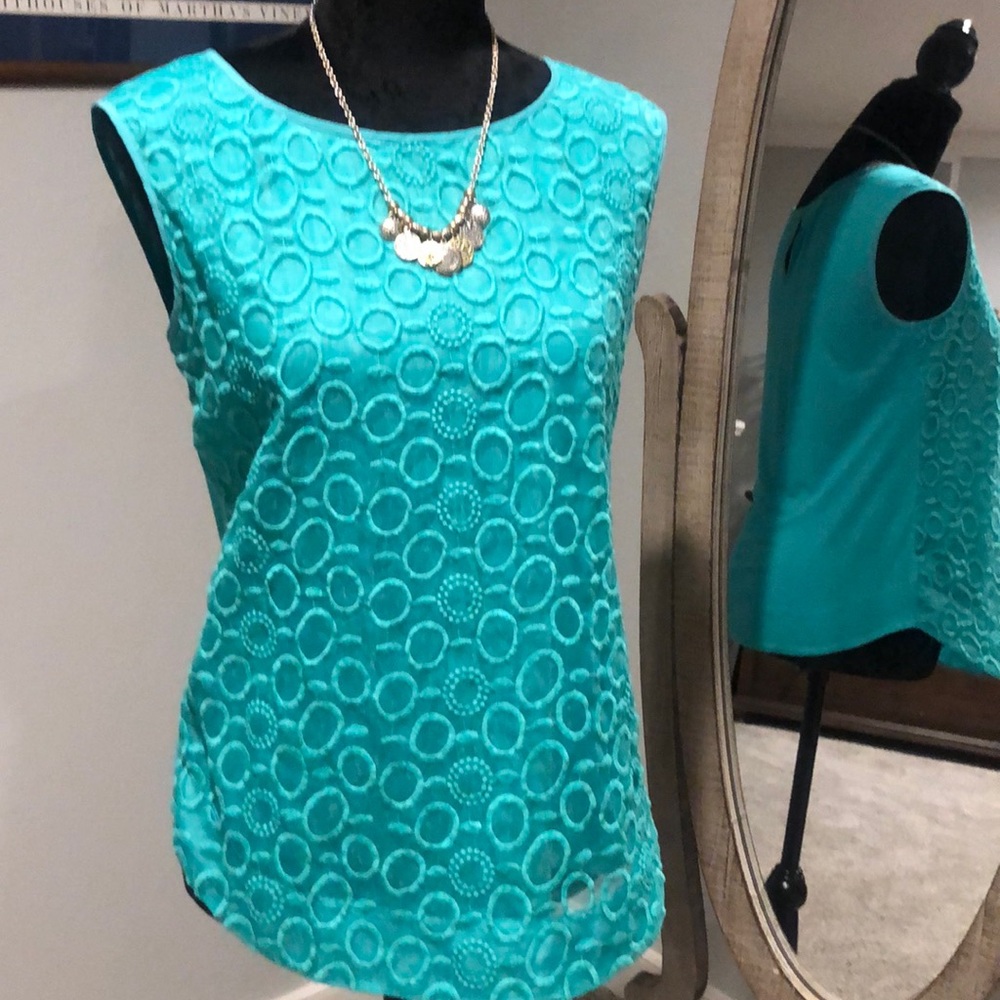 Beautiful ANN TAYLOR pullover blouse.